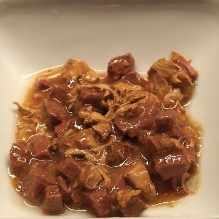 Wohnungskatzen richtig füttern