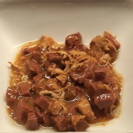 Wohnungskatzen richtig füttern