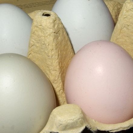 Eier roh oder gekocht, wie sieht man das von außen?