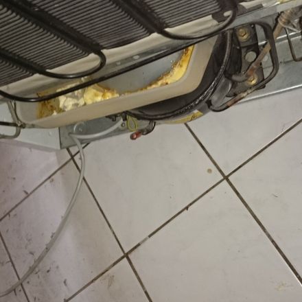 Gestank durch Kühlschrank / Wasserauffangbehälter