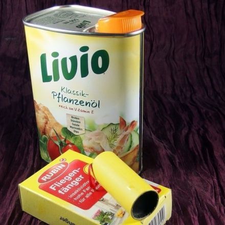 Fliegenfänger - Reingelaufen & kleben geblieben? Nimm Speiseöl