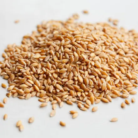 Einkorn statt Reis kochen