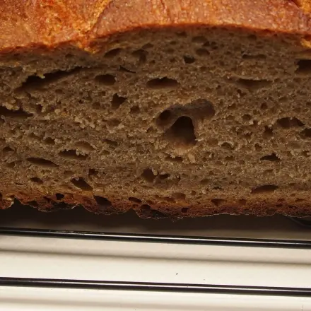 Gitter gegen schimmelndes Brot
