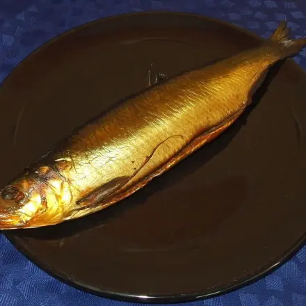 Fisch vorbereiten