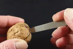 Waln&uuml;sse knacken - kinderleicht mit einer Nagelfeile