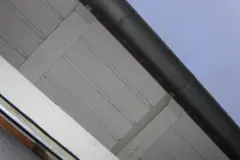 Vogelnester mit Angelschnur verhindern