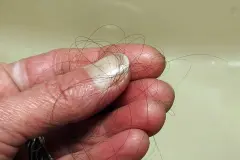 Abfluss verstopft? Ursache Haare?