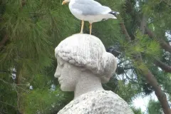 V&ouml;gel von Obstb&auml;umen fernhalten