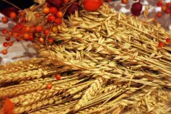 Dinkelkissen - Anwendung und Herstellung