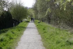 Beim Joggen: Fliegenfresse - Nein danke!