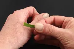 Raue H&auml;nde - hilfe durch Aloe Vera Pflanze