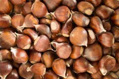 Esskastanien (Maronen) einfach zubereiten