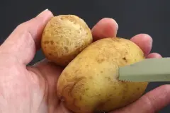 Wie verschieden gro&szlig;e Pellkartoffeln gleichzeitig gar werden