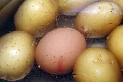 Beim Pellkartoffelkochen Eier mitkochen