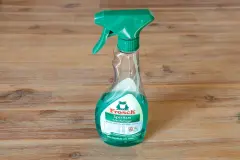 Ameisen beseitigen mit Fensterputzmittel