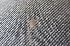 Gallseife - Fleckenkiller