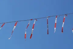 Tauben vom Balkon vertreiben