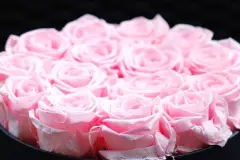 Rosen h&auml;ngen schnell den Kopf? Hier die L&ouml;sung