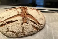 Sauerteig ansetzen - Anstellgut selber herstellen