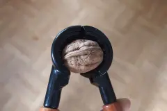 Waln&uuml;sse richtig knacken: quer knacken