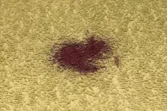 Rotweinflecken entfernen mit Glasreiniger