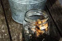 Zigarettenasche gegen Ameisen