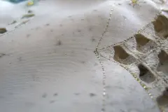 Schimmel und Stockflecken entfernen mit Backpulver