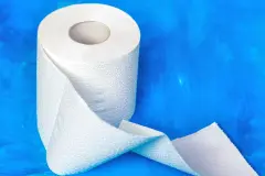 Bei Besuch immer eine extra Klopapierrolle