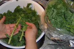 Frischen Gr&uuml;nkohl vorbereiten und verarbeiten