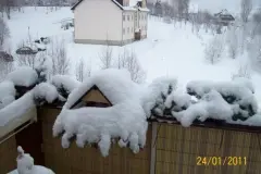 Vogel-Futterplatz auf dem Balkon