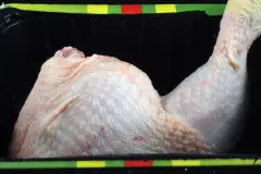 Gefl&uuml;gel etc. auftauen