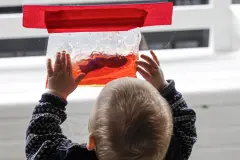 Bunte Wassert&uuml;te - das Baby Aquarium
