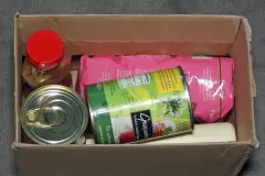 Karton statt Plastikt&uuml;te