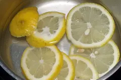 Blattl&auml;use und Spinnmilben biologisch vertreiben