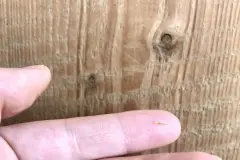 Kleine Splitter aus der Haut entfernen