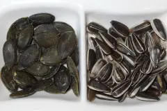 K&uuml;rbiskerne, Sonnenblumenkerne umsonst