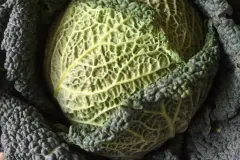 Gem&uuml;se sp&auml;ter verarbeiten - Gem&uuml;se frisch halten