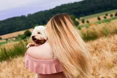 Lang andauernde K&uuml;hlung bei dieser Hitze