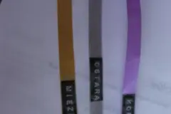 Erdbeeren dauerhaft und einfach kennzeichnen