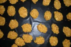 Reispl&auml;tzchen mit Paniermehl