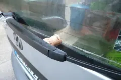 Verhindern, dass Scheibenwischer festfrieren