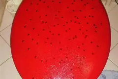 Klobrille / WC Sitz / Aus ALT mach NEU