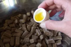 Weniger Hundehaare das ganze Jahr