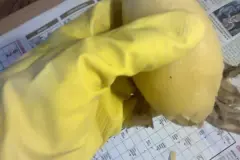 Kartoffeln sch&auml;len - Finger nicht verbrennen