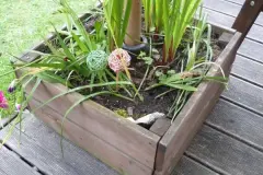 Sonnenschirmst&auml;nder zum Bepflanzen