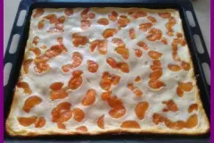 K&auml;se-Mandarinen-Kuchen vom Blech