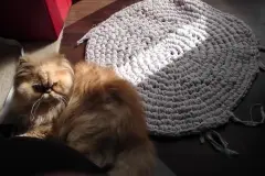 Bettw&auml;sche zu Teppichen verarbeiten