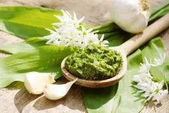 B&auml;rlauch sammeln und verwenden