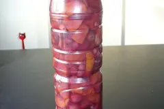 Fr&uuml;chte f&uuml;r Sangria/Bowle vor der Party einfrieren