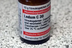 M&uuml;cken- und Wespenstiche hom&ouml;opathisch behandeln